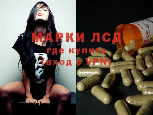 spice Карпинск