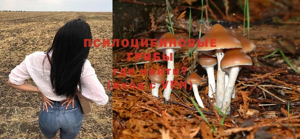 прущая мука Карталы