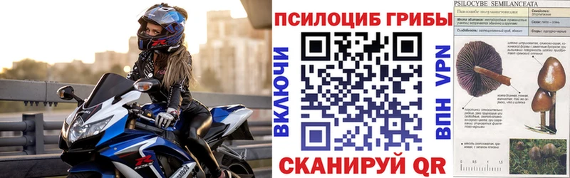 KRAKEN зеркало  Каменка  Галлюциногенные грибы мицелий  как найти наркотики 